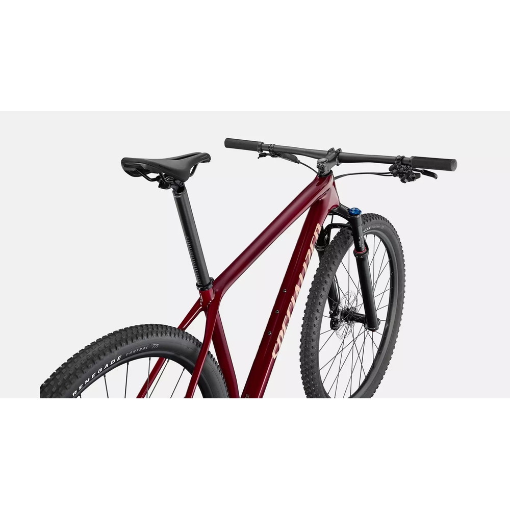 Cicla specialized sales