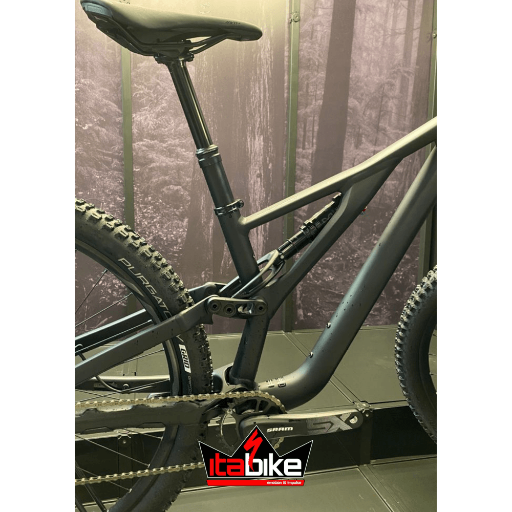 Stumpjumper st on sale 29 carbon