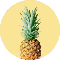 Hortifruti