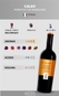 Vinho Caleo Primitivo di Manduria 750ml