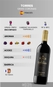 Vinho Torres Gran Coronas Tinto 750ml