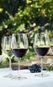 Conjunto 2 Taças Riedel Wine Chardonnay | Viognier